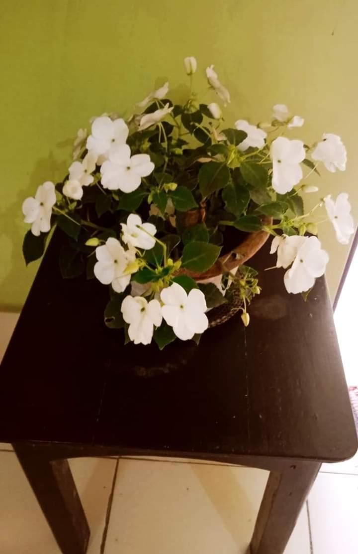 Bhoboghure Homestay Santiniketan Bolpur Dış mekan fotoğraf
