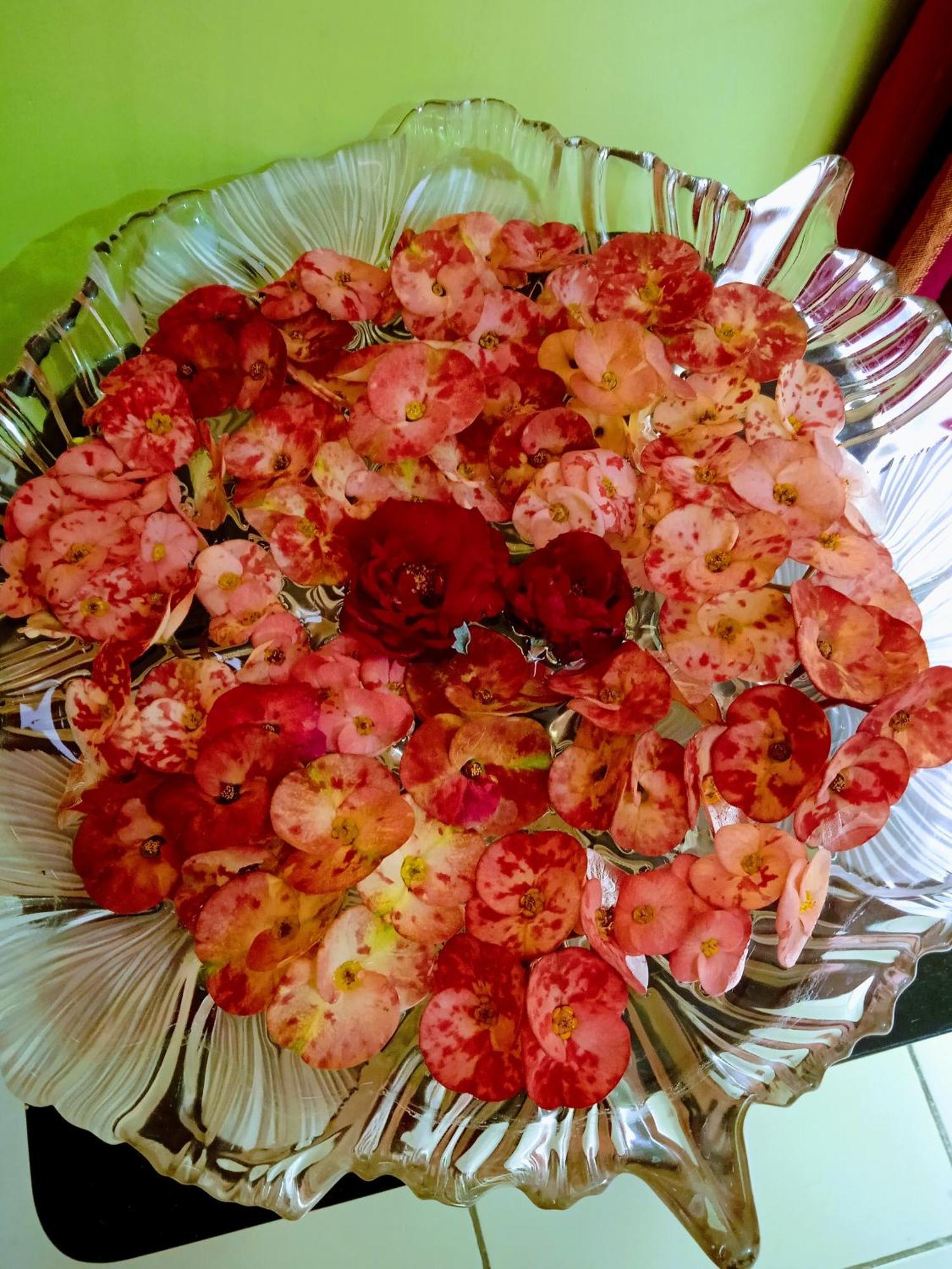 Bhoboghure Homestay Santiniketan Bolpur Dış mekan fotoğraf