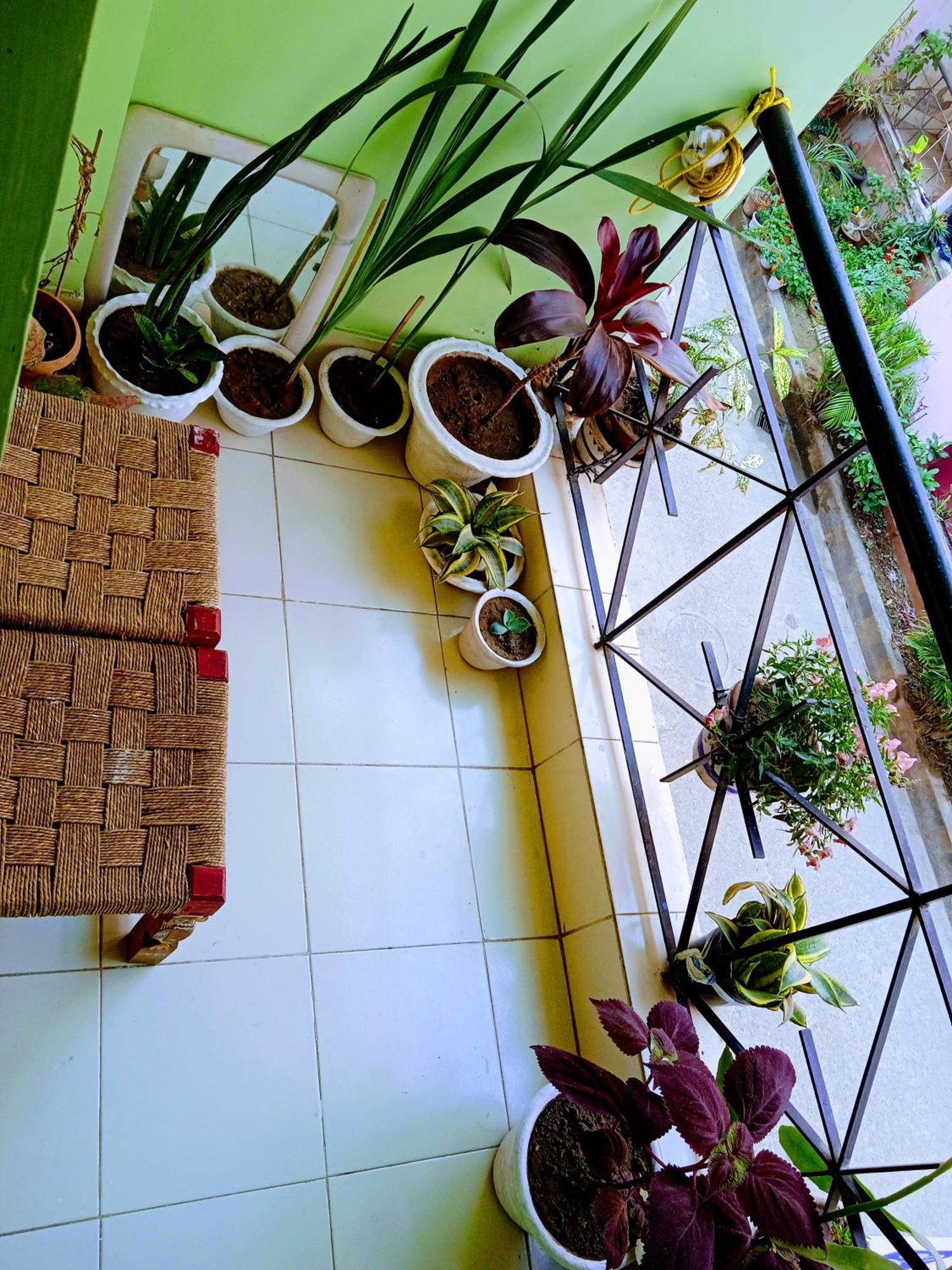 Bhoboghure Homestay Santiniketan Bolpur Dış mekan fotoğraf